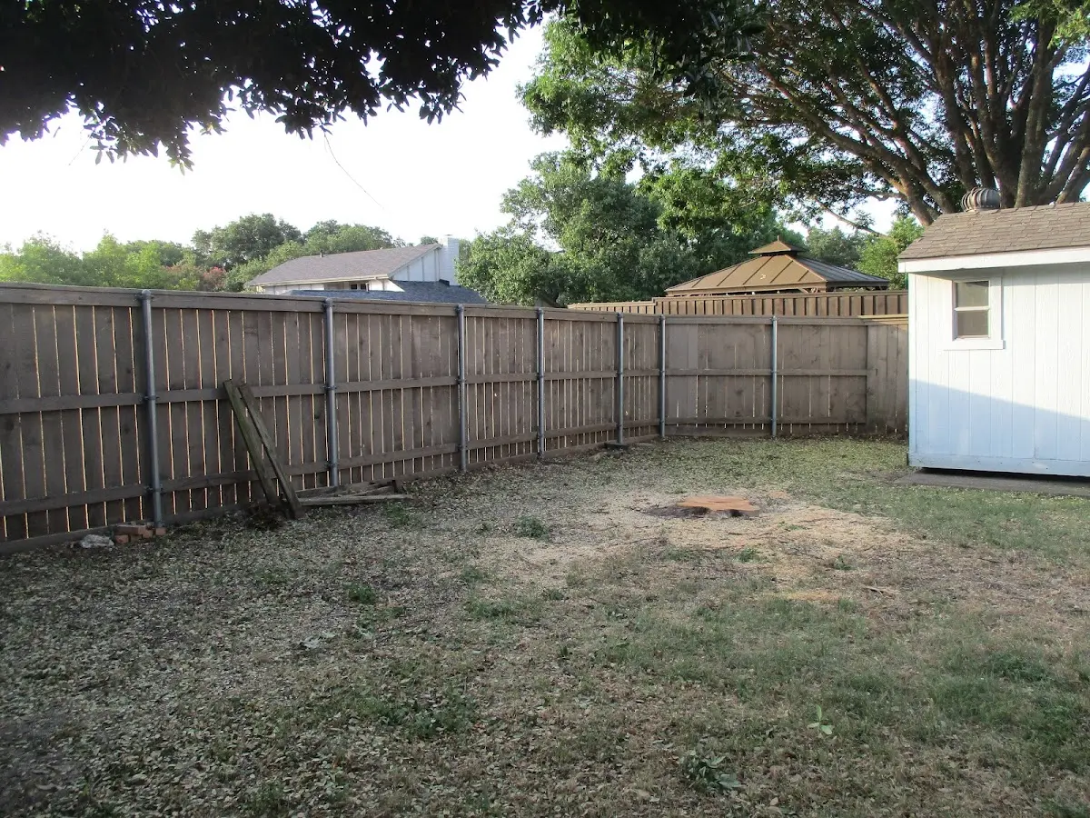 Cleared yard after professional tree removal in La Jose
